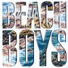 THE BEACH BOYS MUSIC BINGO