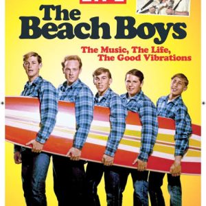 HITS OF THE BEACH BOYS MUSIC BINGO PDF